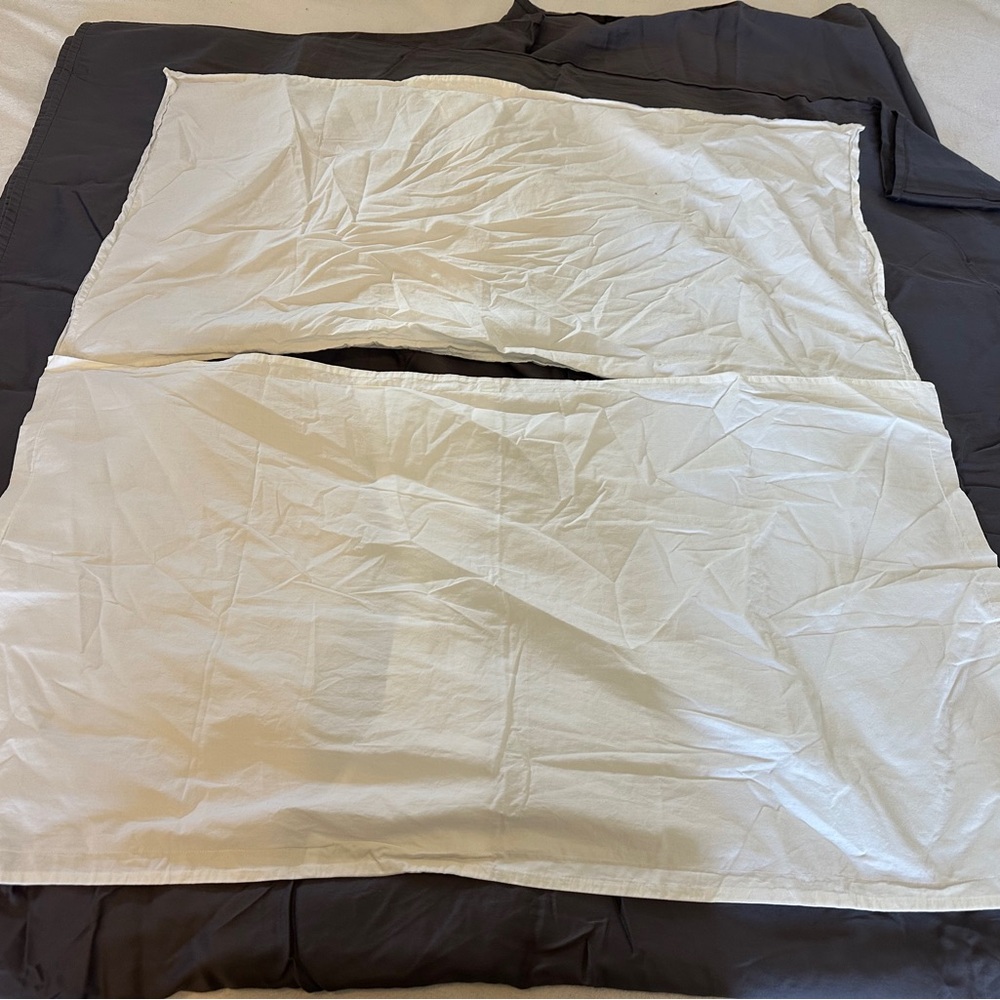 Parachute Home White Percale king Bedding Pillow Case Set of 2